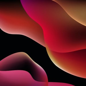 richard-horvath-is8jWT-mvng-unsplash