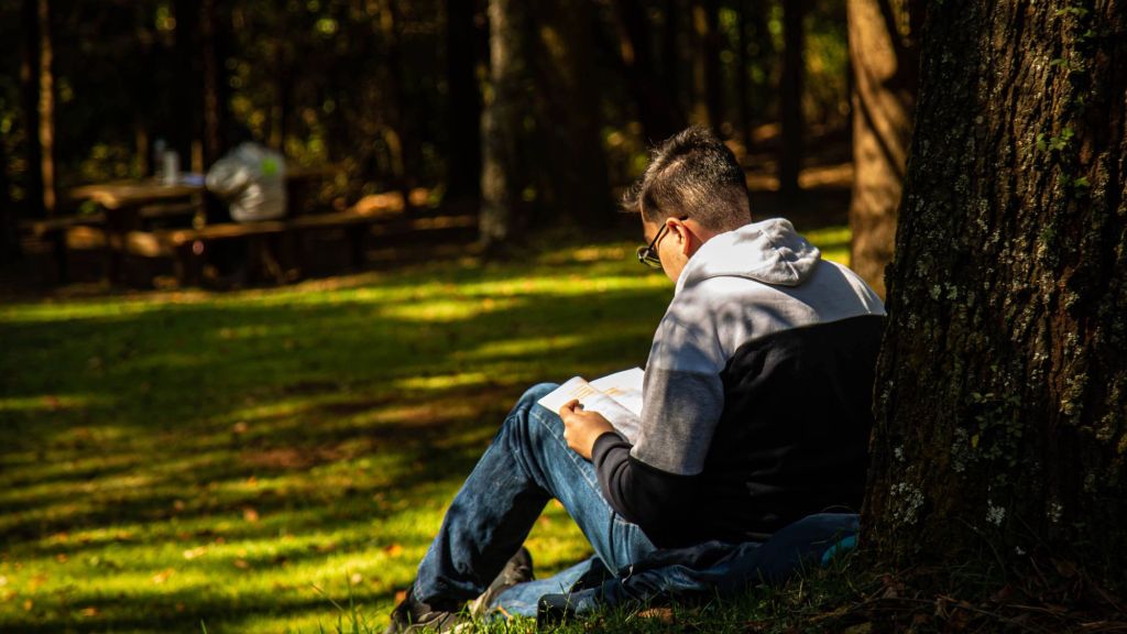 una persona leyendo de espaldas frente a un arbol