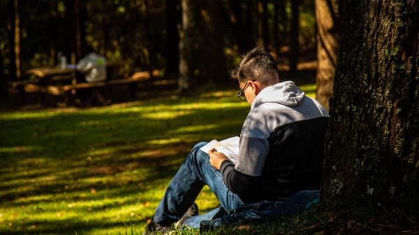 una persona leyendo de espaldas frente a un arbol